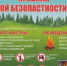 Пожарная безопасность в лесу. - Муниципальное образование