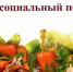 Проходит благотворительная акция "Социальный погребок". - Муниципальное образование